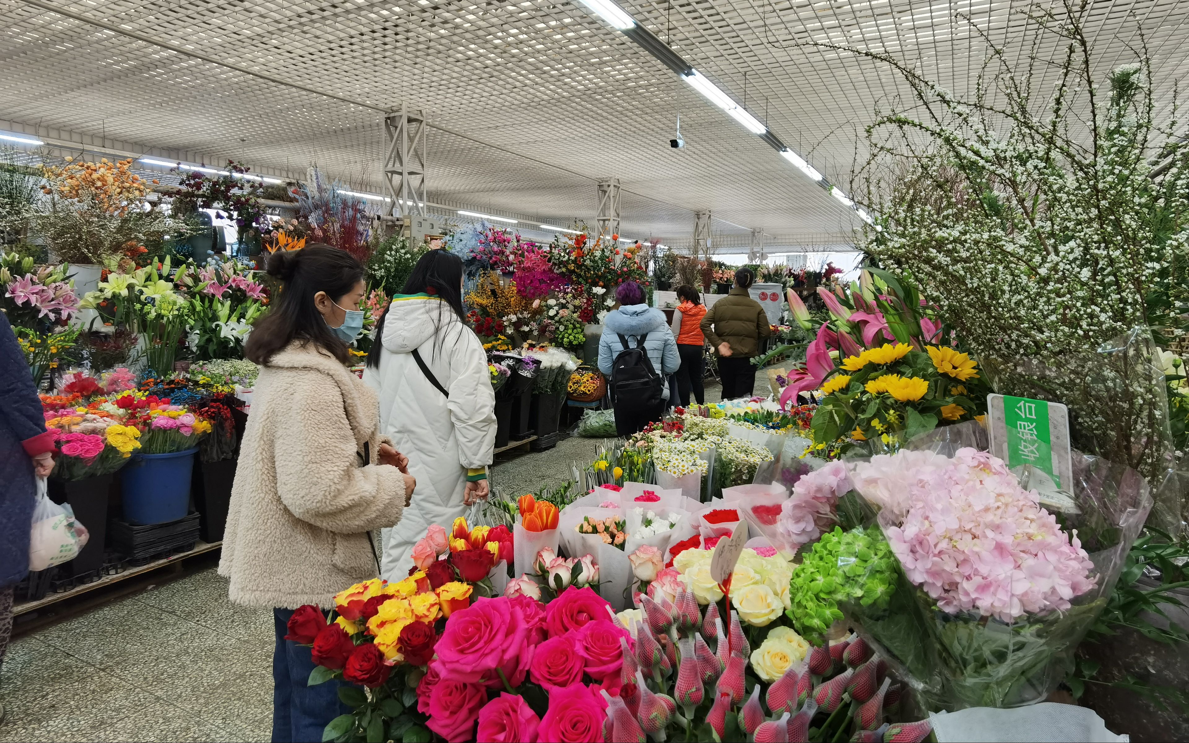 西青曹庄花卉市场，你一定得来一趟！