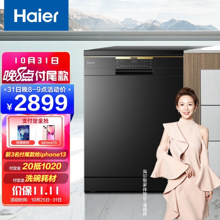 海尔 130266 洗碗机13套独立式80℃双微蒸汽智能开门烘